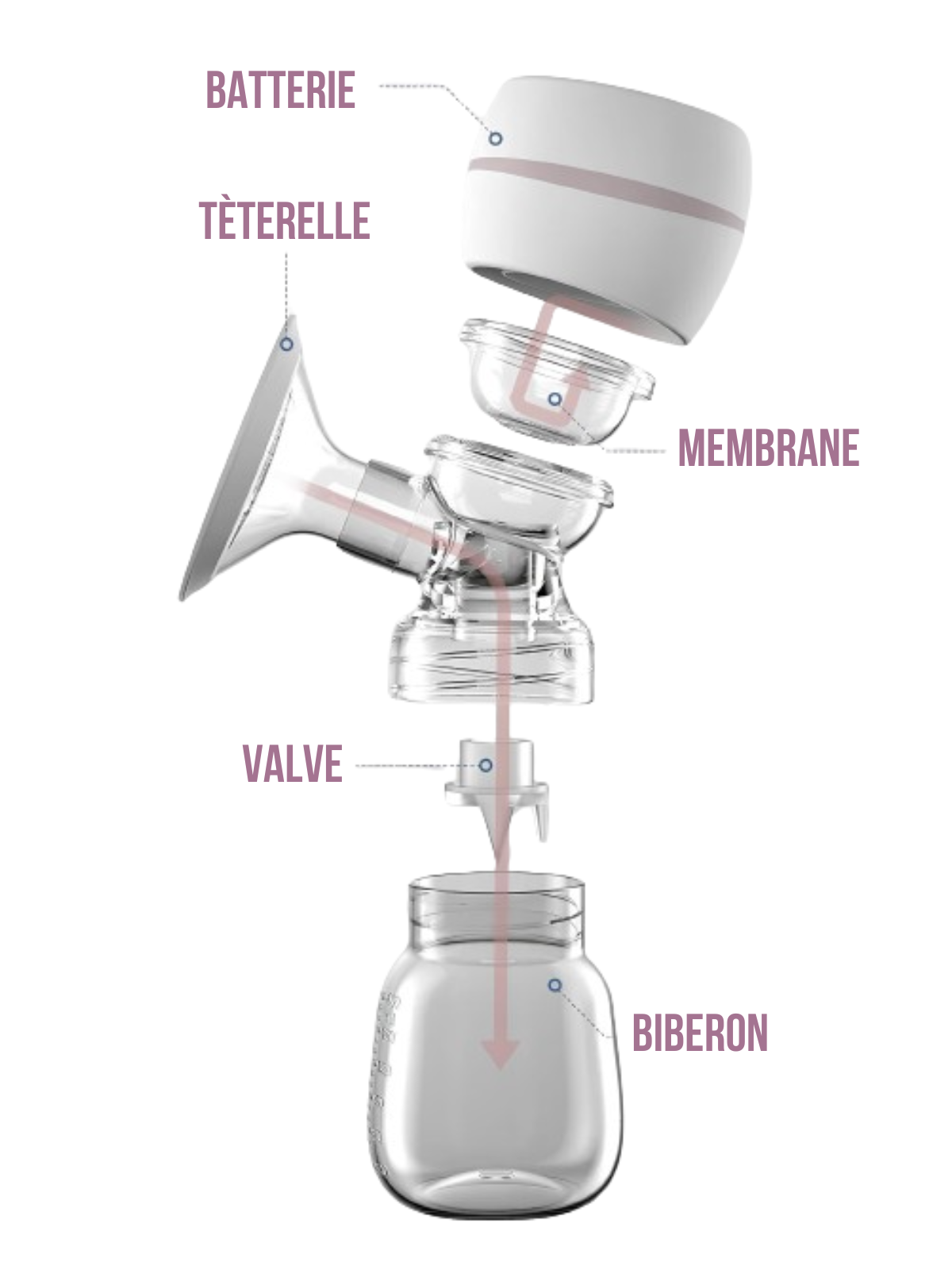 Tire lait électrique sans fil - Silencieux - Purepelis